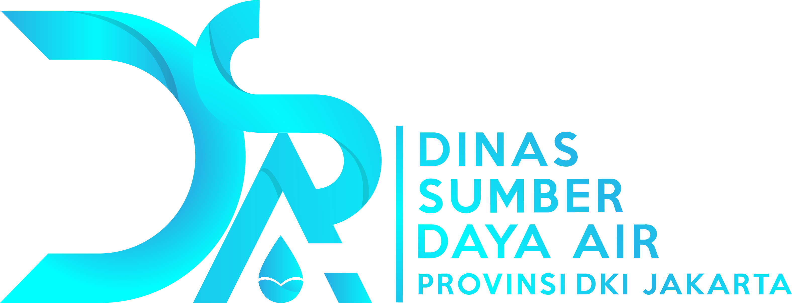 Logo DSDA